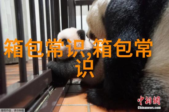 金项链断了如何处理